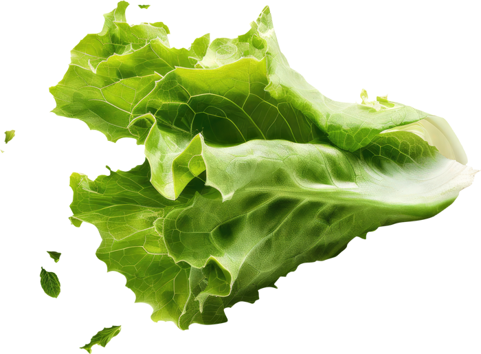 salade